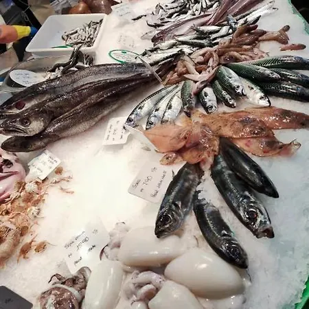 圣特斯公寓 * 巴塞罗那